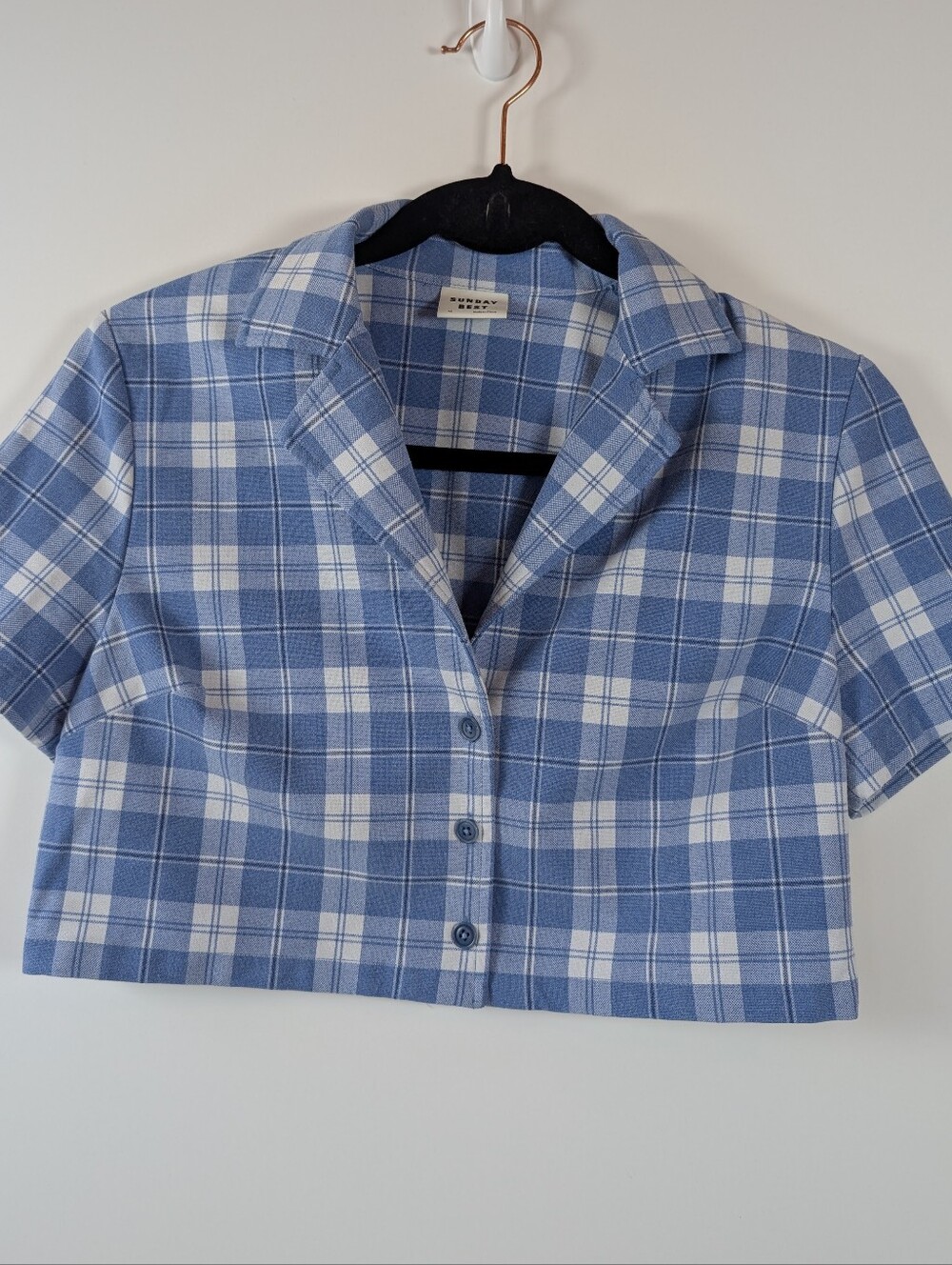 Aritizia Sunday Best Cropped Blue Plaid Button-Front Top